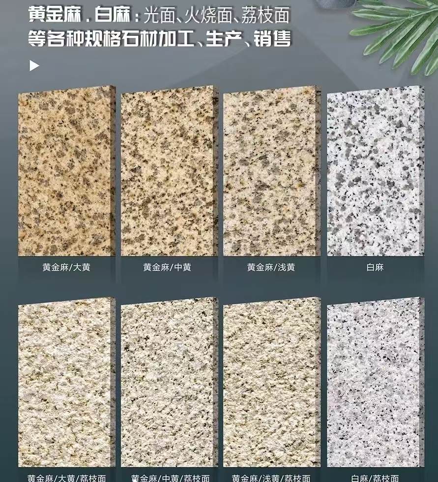 黄冈 黄金麻白麻样品展示