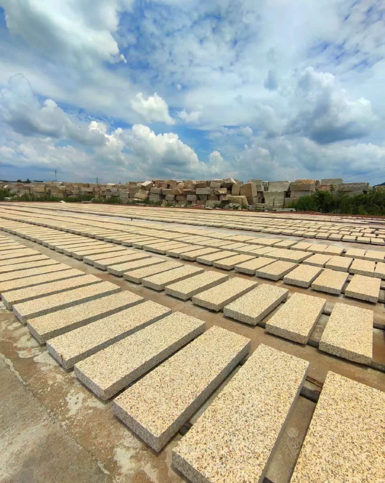 黄冈 黄金麻花岗岩荔枝面地铺石防护中